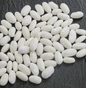 白インゲン豆小粒拡大
